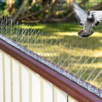 Bird Spikes for Gutters: Enhancing Home Safety and Aesthetics