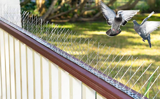 Bird Spikes for Gutters: Enhancing Home Safety and Aesthetics